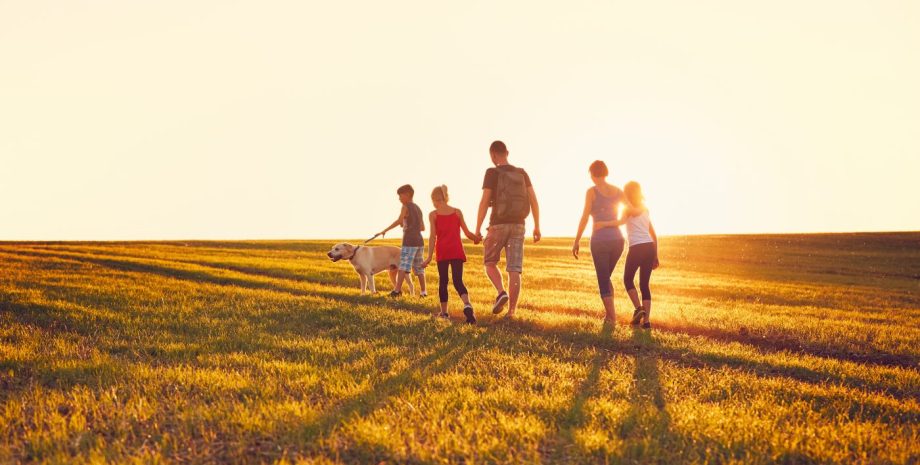 Summertime in the countryside. Silhouettes of the family with dog on the trip at the sunset.