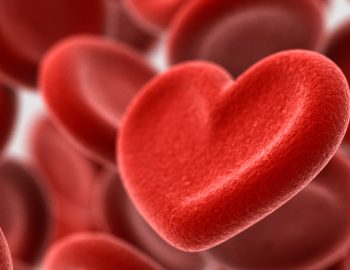 Blood cells in the shapes of hearts.